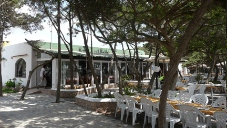 Es Savina Cala Jondal