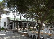 Es Savina Cala Jondal