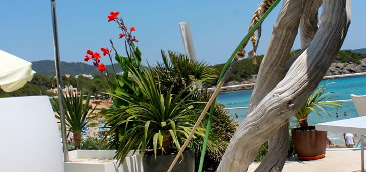 Featured restaurants